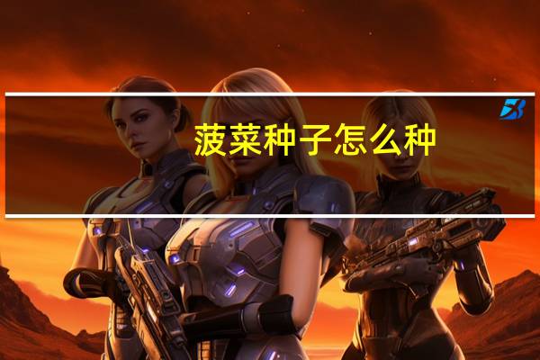菠菜种子怎么种
