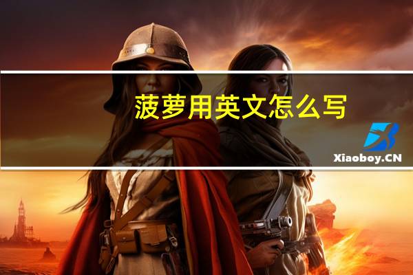 菠萝用英文怎么写？