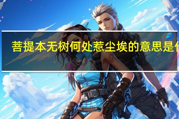 菩提本无树何处惹尘埃的意思是什么（菩提本无树 何处惹尘埃 什么意思）