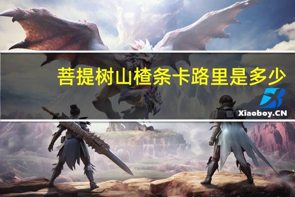 菩提树 山楂条卡路里是多少