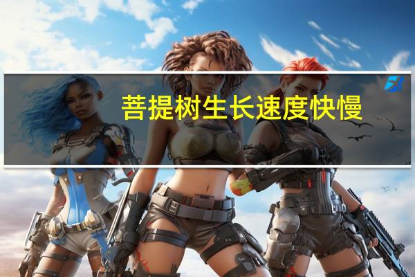菩提树生长速度快慢