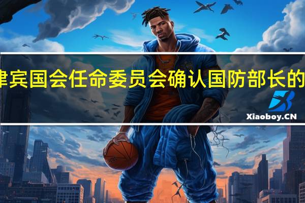 菲律宾国会任命委员会确认国防部长的临时任命