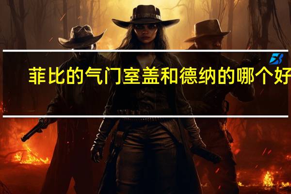 菲比的气门室盖和德纳的哪个好呢