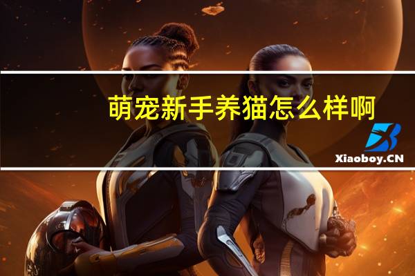萌宠新手养猫怎么样啊