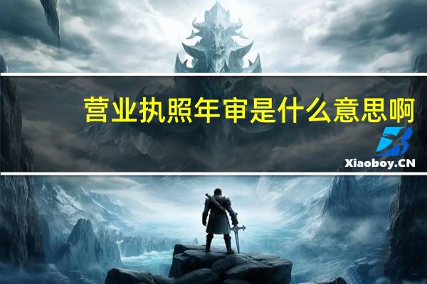 营业执照年审是什么意思啊