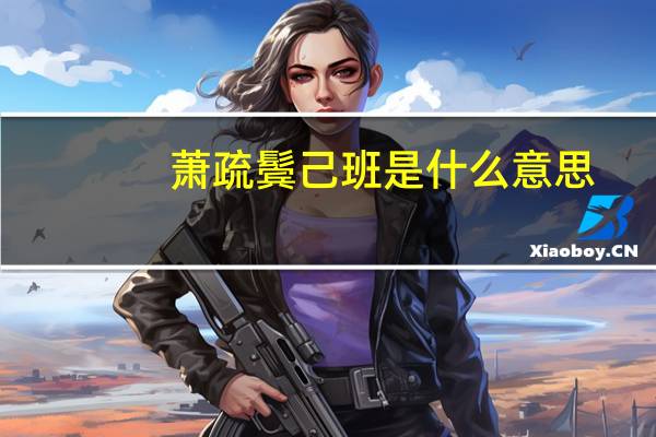 萧疏鬓己班是什么意思