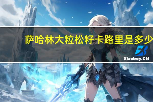 萨哈林 大粒松籽卡路里是多少