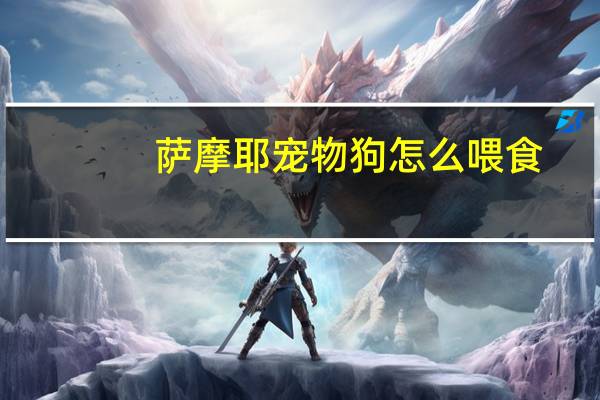 萨摩耶宠物狗怎么喂食