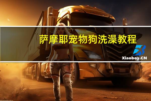 萨摩耶宠物狗洗澡教程