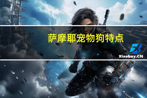 萨摩耶宠物狗特点