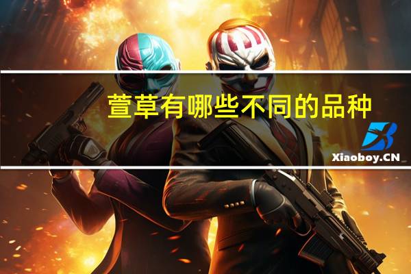 萱草有哪些不同的品种