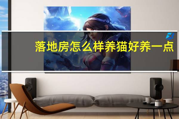 落地房怎么样养猫好养一点
