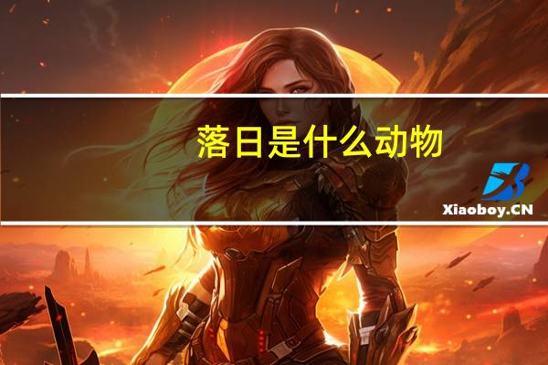 落日是什么动物