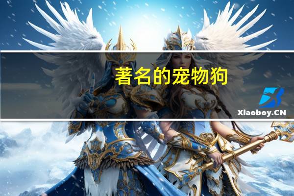 著名的宠物狗