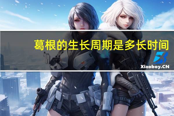 葛根的生长周期是多长时间