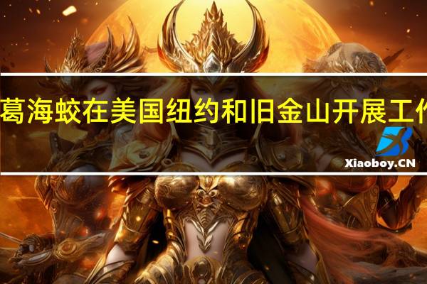 葛海蛟在美国纽约和旧金山开展工作调研