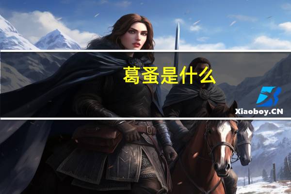 葛蚤是什么