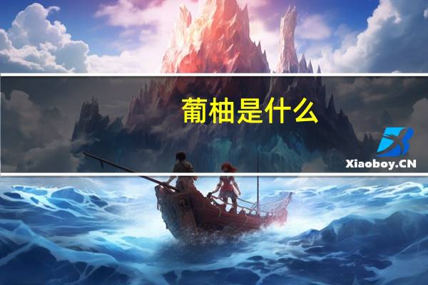 葡柚是什么