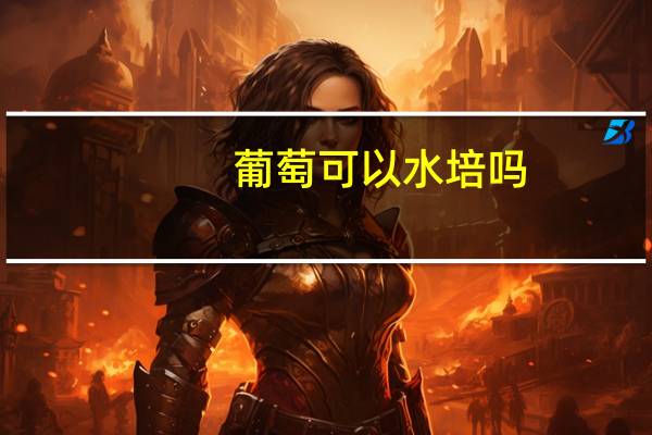 葡萄可以水培吗