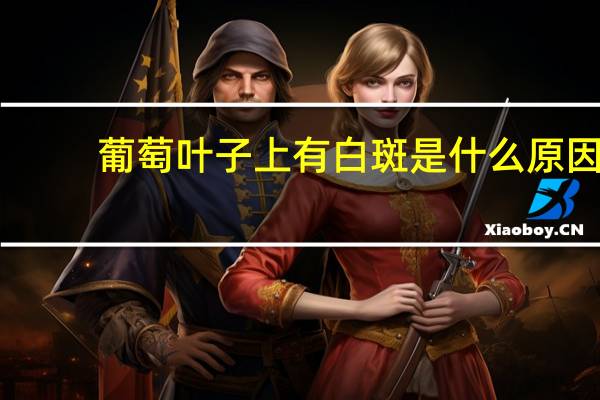 葡萄叶子上有白斑是什么原因