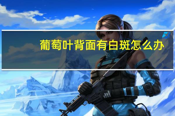 葡萄叶背面有白斑怎么办