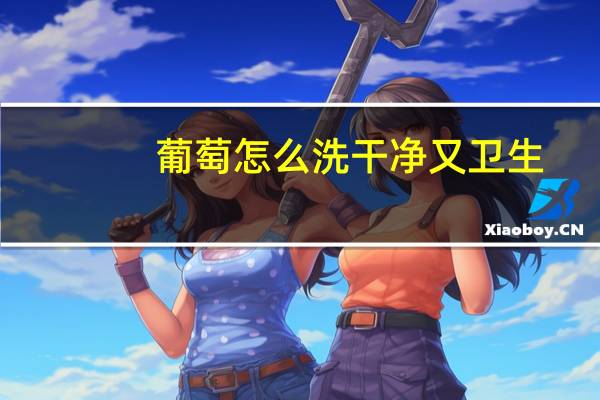 葡萄怎么洗干净又卫生