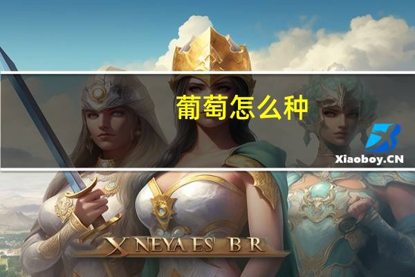 葡萄怎么种