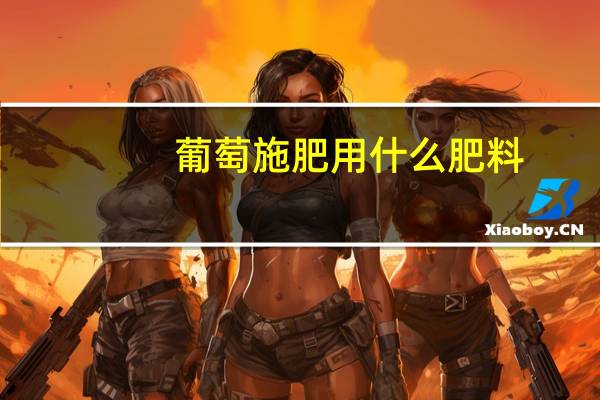 葡萄施肥用什么肥料