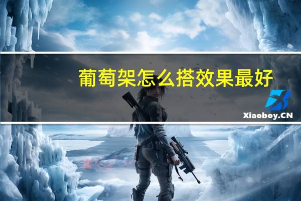葡萄架怎么搭效果最好(葡萄架怎么搭)