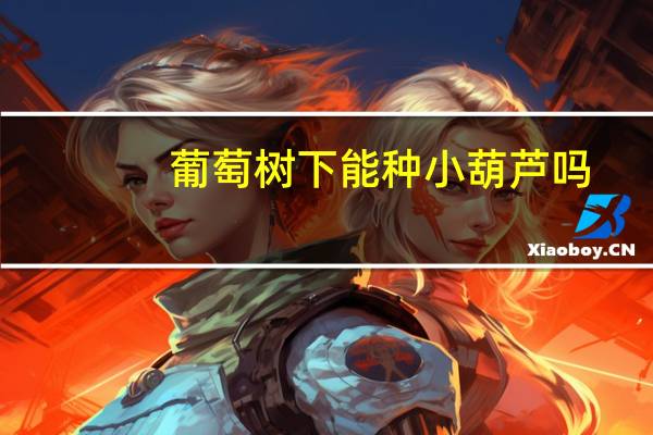 葡萄树下能种小葫芦吗