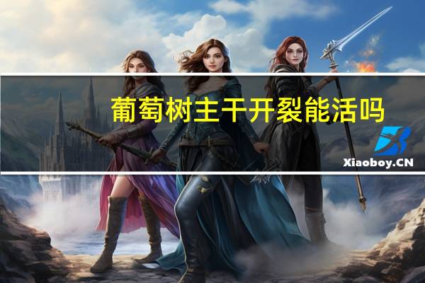 葡萄树主干开裂能活吗