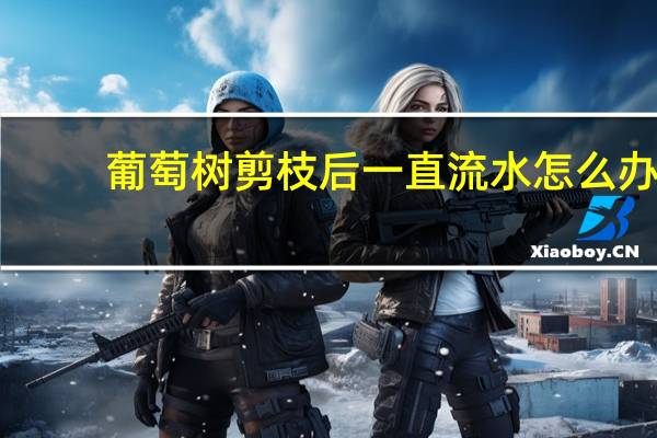 葡萄树剪枝后一直流水怎么办
