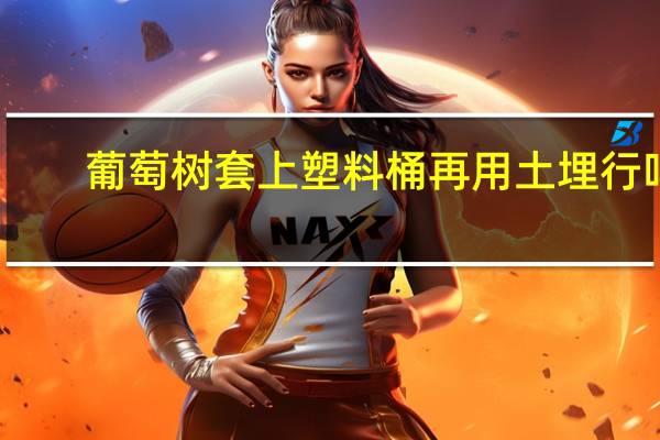 葡萄树套上塑料桶再用土埋行吗