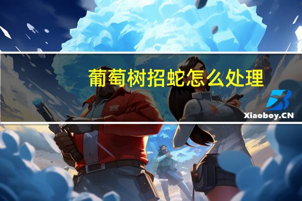 葡萄树招蛇怎么处理