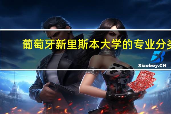 葡萄牙新里斯本大学的专业分类