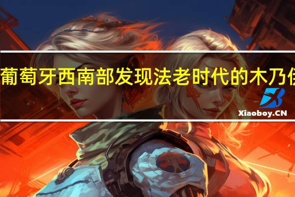葡萄牙西南部发现法老时代的木乃伊蜜蜂