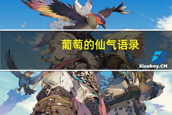 葡萄的仙气语录