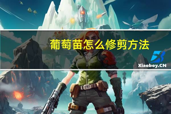 葡萄苗怎么修剪方法