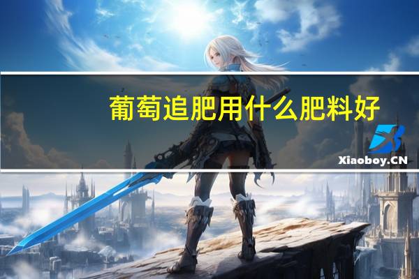 葡萄追肥用什么肥料好