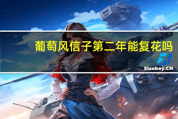 葡萄风信子第二年能复花吗