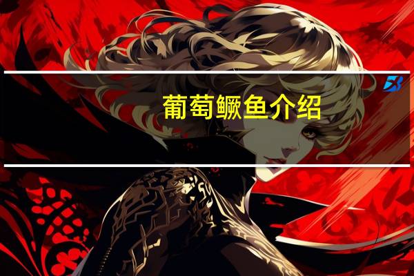 葡萄鳜鱼介绍