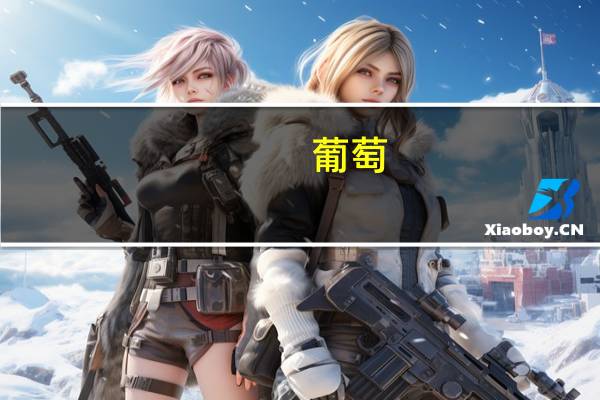 葡萄（关于葡萄的介绍）