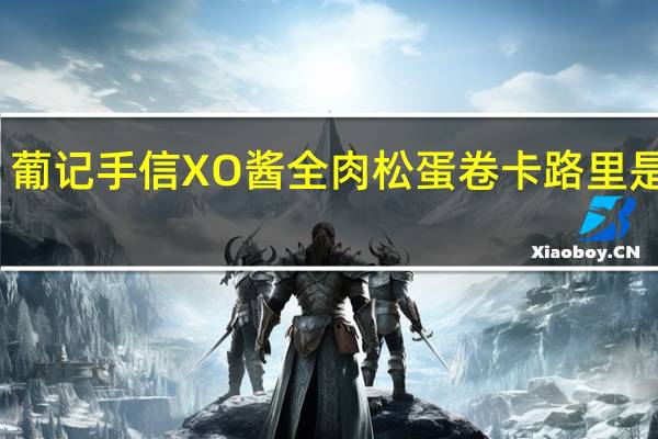 葡记手信 XO酱全肉松蛋卷卡路里是多少
