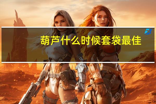 葫芦什么时候套袋最佳
