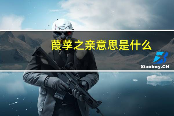 葭莩之亲意思是什么