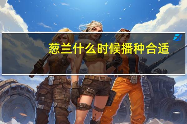 葱兰什么时候播种合适