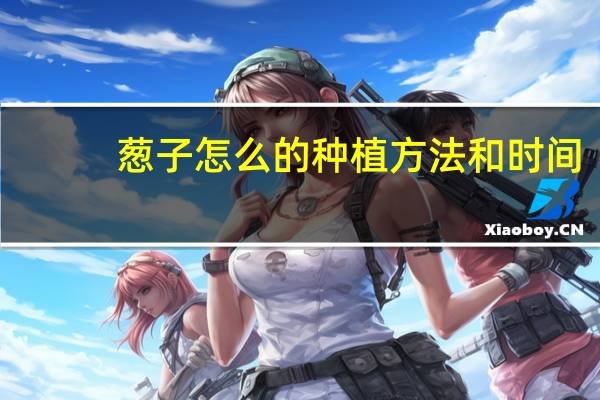 葱子怎么的种植方法和时间