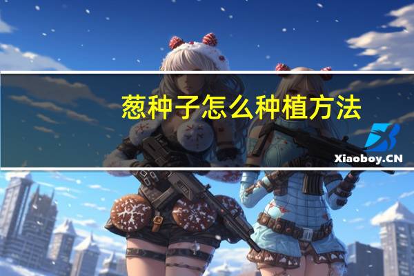 葱种子怎么种植方法