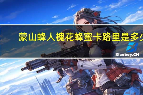 蒙山蜂人 槐花蜂蜜卡路里是多少