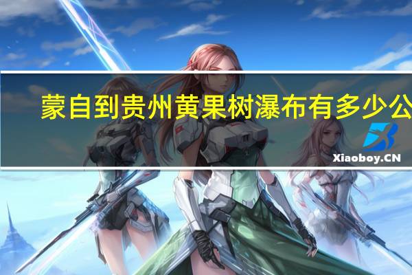 蒙自到贵州黄果树瀑布有多少公里